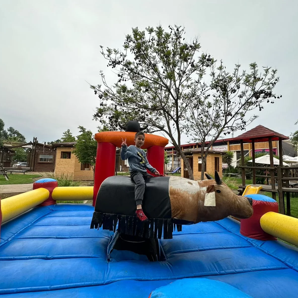 Toro mecánico Prende Tu Fiesta Santiago - Arriendo juegos mecánicos eventos